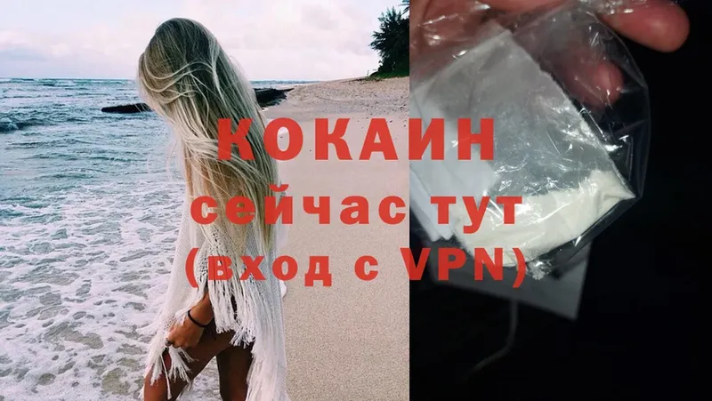 Cocaine Fish Scale  Москва 